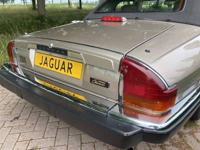 Jaguar