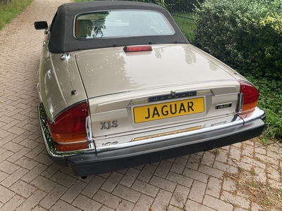 Jaguar