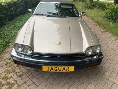 Jaguar